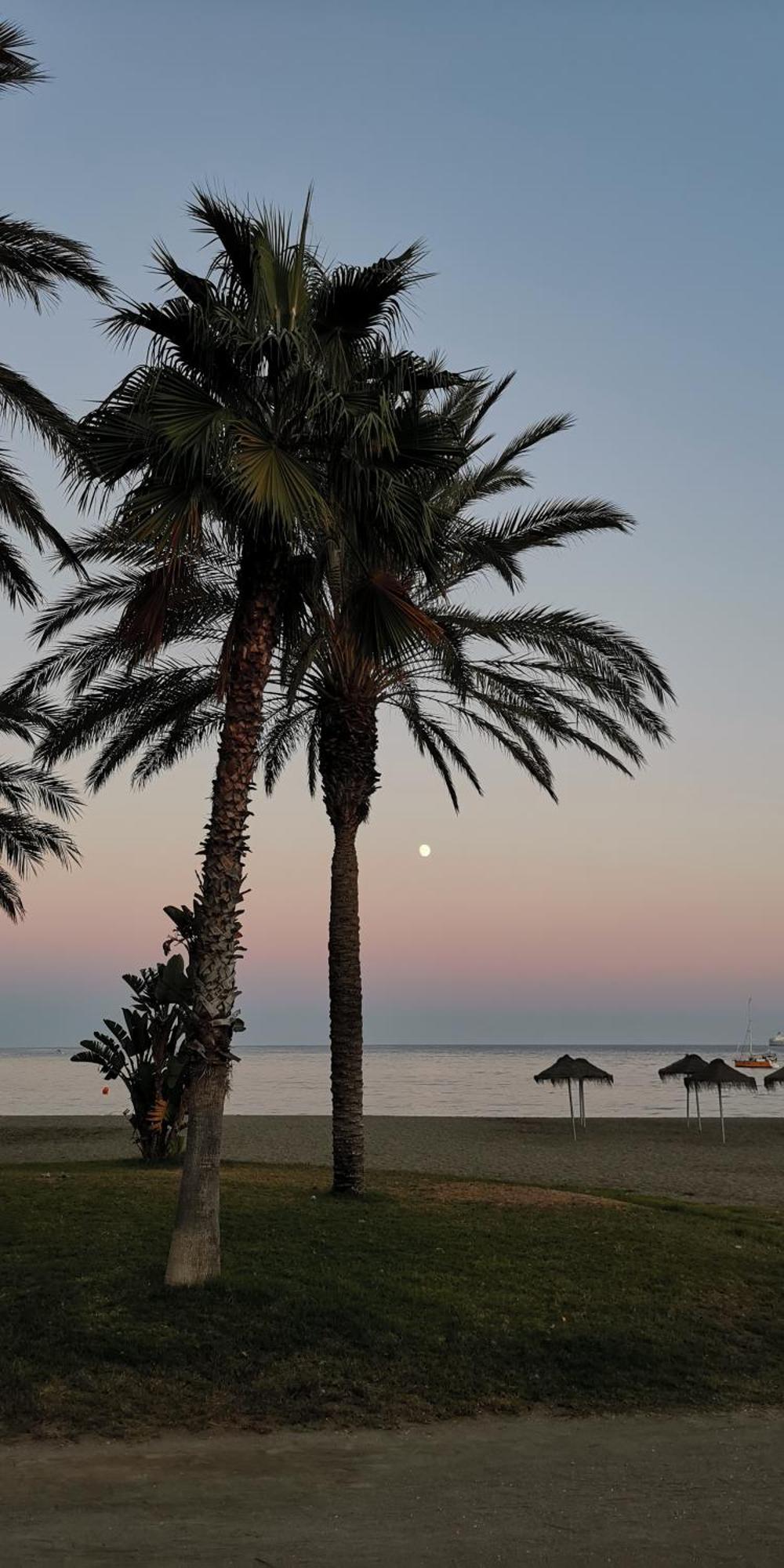 Encantador Bajo En Málaga Exteriör bild